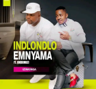 Indlondlo Emnyama ft Umdumazi - Izinkinga