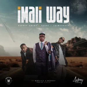 Aubrey Qwana, EeQue, LeeMcKrazy - Imali Way ft. Mawelele, Makhosi