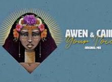 Awen & Caiiro - Your Voice