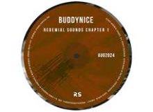 Buddynice - Redemial Sounds Chapter 1 (August 2024) Dj Mix