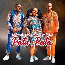 Indlovukazi – Pata Pata Ft. Afro Brotherz