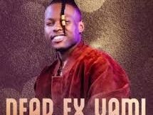 Mduduzi Ncube – Dear Ex Yami