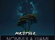 Mr Style - Nomvula Wami