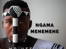 Mr vee sholo - ngamamenemene