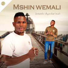 Mshinwemali - Intombi Ayinikwa'imali