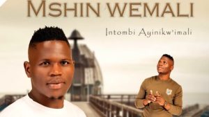 Mshiniwemali – Ngicel Uhambe ft. Zothando