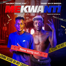 NaleBoy Young King ft. Tribby wadi Bhozza - Mekwanti