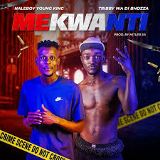 Naleboy Young King – Mekwanti (feat. Tribby wadi Bhozza & Hitler SA)