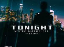 Nestro DaProducer & Veesoul – Tonight