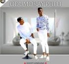 Odumo kay'pheli - Bayathandana (2024 Album Song)