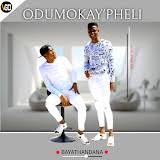 Odumo kay'pheli - Bayathandana (2024 Album Song)