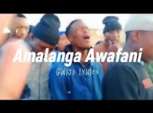 Pistole Gwijo – Amalanga Awafani