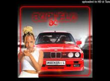 SKEEM SA MALEBESE FAMILY - Bophelo Bo (Unseen 325, Mishack Pilots x Kwetepane)