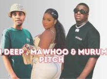 Sam Deep - Sthandwa Sam ft. Mawhoo & Murumba Pitch