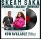 Shandesh – Skeam saka ft Nale Boy & Shebeshxt 2024