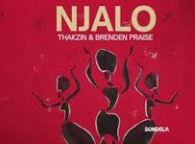 Thakzin & Brenden Praise – Njalo