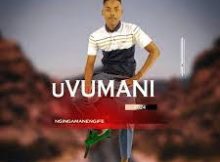 Vumani - Ngingamane Ngifeu