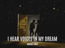 Buddynice – I Hear Voices In My Dreams