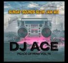 DJ Ace - SLOW JAM MIX 2024 | 03 NOVEMBER | PEACE OF MIND VOL 101