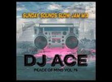 DJ Ace - SLOW JAM MIX 2024 | 03 NOVEMBER | PEACE OF MIND VOL 101