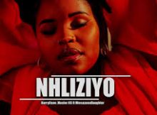 HarryCane, Master KG ft Nkosazana Daughter - Nhliziyo 2024 New Hit