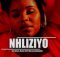 HarryCane, Master KG ft Nkosazana Daughter - Nhliziyo 2024 New Hit