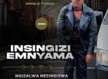 Insingizi – Ngizalwa Nezinsizwa