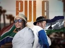 Maleboo Ft. Sannere – Pula