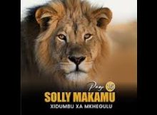 Solly Makamu – Curve Ya Nyapfakala