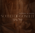 Sound Of Goshen – Holy (Live) ft Collen Maluleke