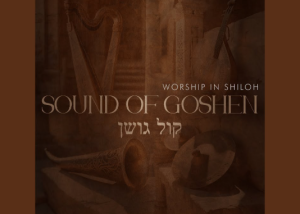 Sound Of Goshen – Holy (Live) ft Collen Maluleke