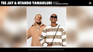 Tee Jay & Ntando Yamahlubi â€“ Njalo Ft. Msongi & Spelete