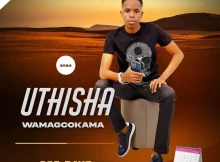 uThisha wamagcokama - 365 Days (song)