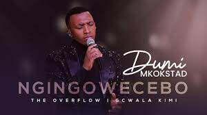 DUMI MKOKSTAD – NGINGOWECEBO