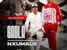 Gadla Nxumalo – WANGIDUMAZA ft Bonakele Masango