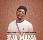 Nja mama – Naleboy young king feat Hitler SA