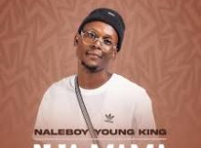 Nja mama – Naleboy young king feat Hitler SA