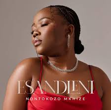 Nontokozo Mkhize – Esandleni