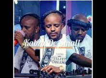 Kabza De Small – Pv Lifestyle (2025 Amapiano Mix)