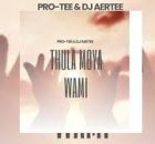 Pro-Tee & Dj Aertee - Thula Moya Wami