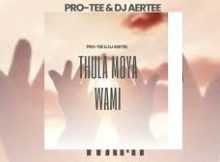 Pro-Tee & Dj Aertee - Thula Moya Wami