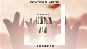 Pro-Tee & Dj Aertee - Thula Moya Wami