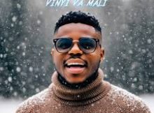 Tebza De DJ – Vinyi Va Mali Ft. DJ Nomza The King