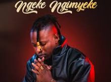 Big Zulu – Ngeke Ngimyeke