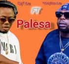 DJ Maphorisa – Palesa ft. Xduppy