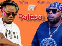 DJ Maphorisa – Palesa ft. Xduppy