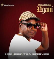 DJ Panther, Ngunelihle – Ngingakubonga Ngani Ft. Tsepiso P, Shinely Greenz & MaWhoo