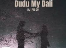 Dj Fisco ZA – Dudu My Dali