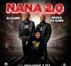 Dj Karri – Nana 2.0 (Remix)