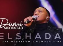 Dumi Mkokstad – El Sheddai (THE OVERFLOW ALBUM)